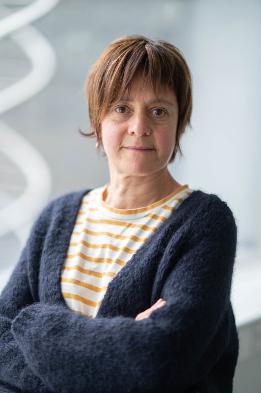 Katrien Staes