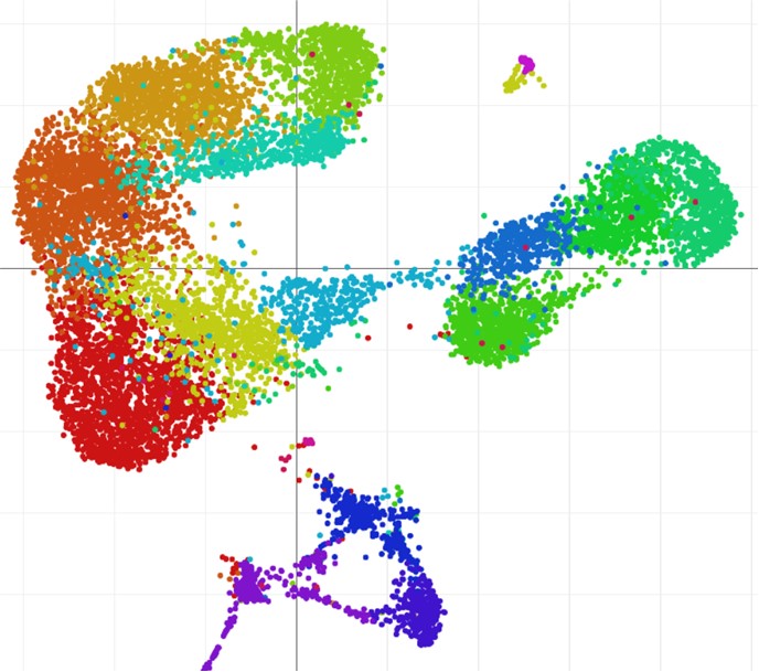 Translational Rheumatology and Immunology Lab