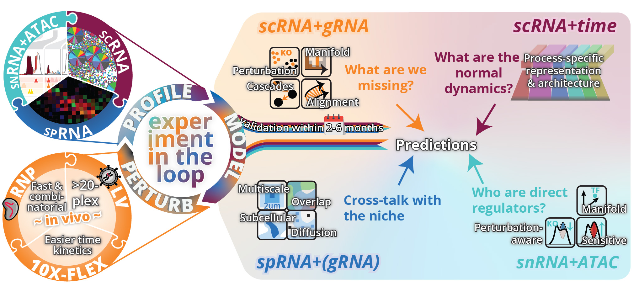 Perturbational systems biology