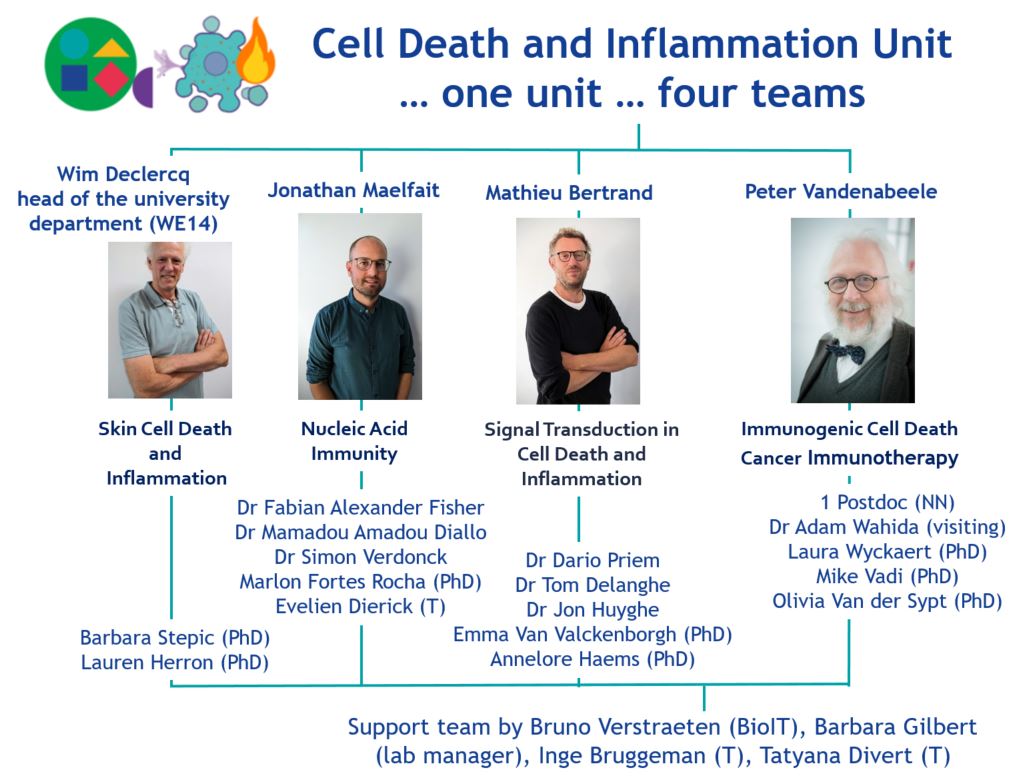 Cell Death and Inflammation Unit
