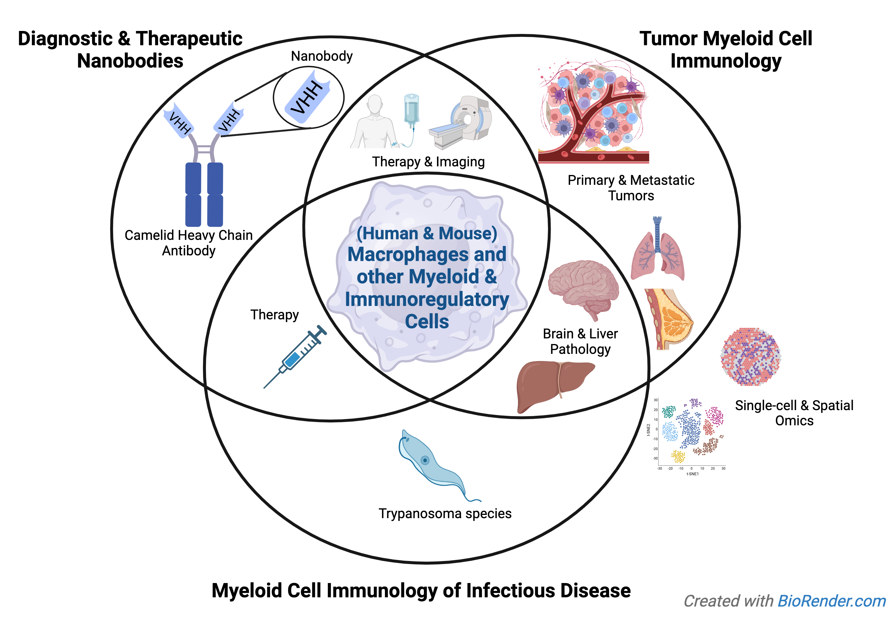 Myeloid Cell Immunology Lab