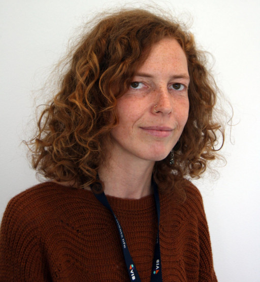 Van den Berghe Yentl