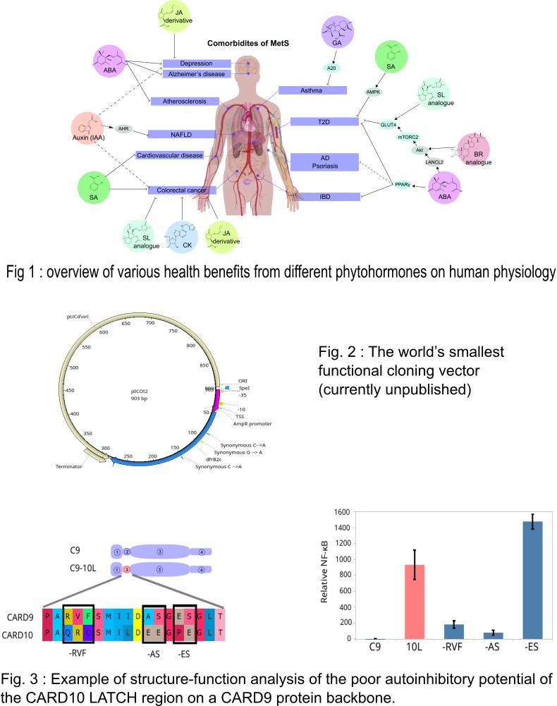 Synthetic Biology in Inflammation Research
