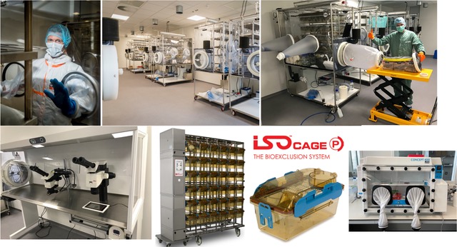 Germ-Free and Gnotobiotic Mouse Facility Ghent (GFMF)