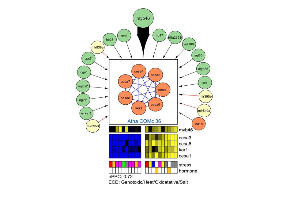 Lab for Computational Biology, Integromics and Gene Regulation (CBIGR)