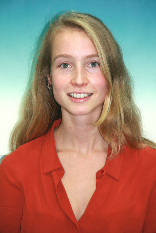 Maes Laure