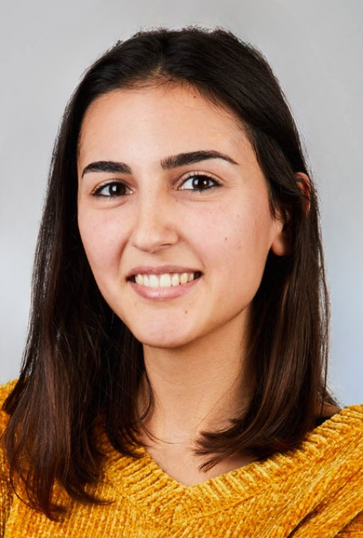 Arnouk Sana
