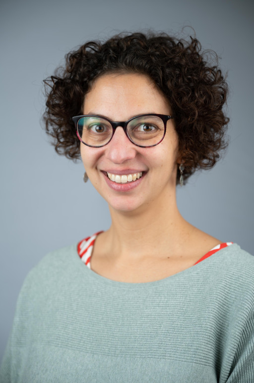 Laoui Damya
