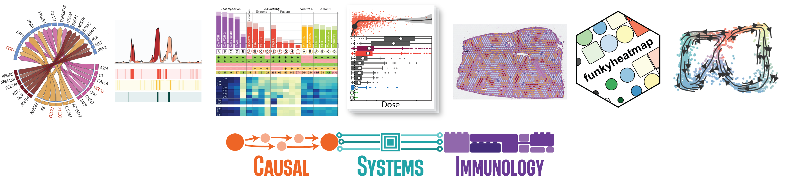 Causal Systems Immunology Laboratory