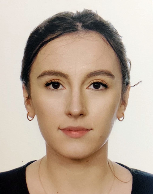 Halimi Fëllanza